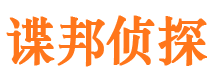 恩平谍邦私家侦探公司